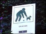 ԂThCb`|̂
